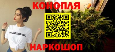 шишки Севастополь