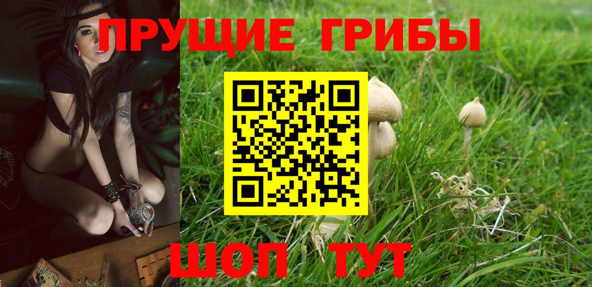 сколько стоит  Вход с VPN  Сочи  Псилоцибиновые грибы Magic Shrooms 